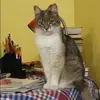 Отзыв от Клара Сидорова